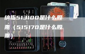 纳指513100是什么股票（515170是什么股票）