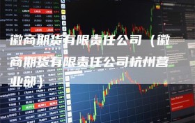 徽商期货有限责任公司（徽商期货有限责任公司杭州营业部）