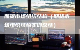 期货市场组织结构（期货市场组织结构实训总结）