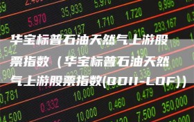 华宝标普石油天然气上游股票指数（华宝标普石油天然气上游股票指数(QDII-LOF)）