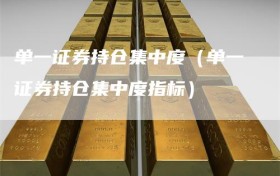 单一证券持仓集中度（单一证券持仓集中度指标）