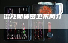 混沌期货葛卫东简介