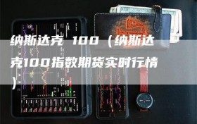 纳斯达克 100（纳斯达克100指数期货实时行情）