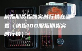纳指期货指数实时行情在哪看（纳指100股指期货实时行情）