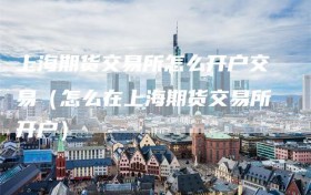 上海期货交易所怎么开户交易（怎么在上海期货交易所开户）