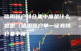 信用账户持仓集中度是什么意思（信用账户单一证券持仓集中度）