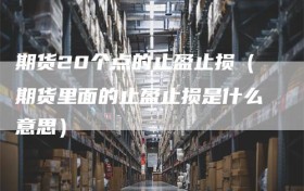 期货20个点的止盈止损（期货里面的止盈止损是什么意思）