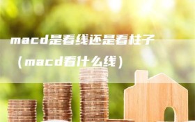 macd是看线还是看柱子（macd看什么线）