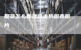 期货怎么看涨跌走势图表图片