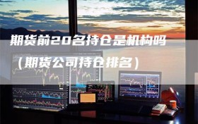 期货前20名持仓是机构吗（期货公司持仓排名）