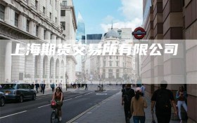 上海期货交易所有限公司