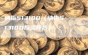 纳指513100（纳指513100投资技巧）