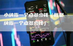 小纳指一个点多少钱（微型纳指一个点多少钱）