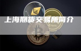 上海期货交易所简介
