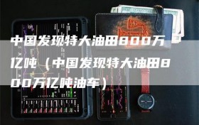 中国发现特大油田800万亿吨（中国发现特大油田800万亿吨油车）