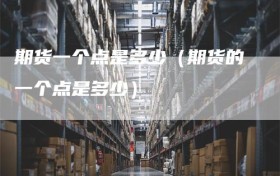 期货一个点是多少（期货的一个点是多少）