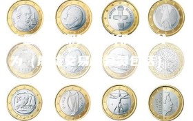 中国金融期货交易所会员分为（期货交易所会员包括）