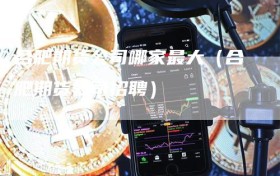 合肥期货公司哪家最大（合肥期货公司招聘）