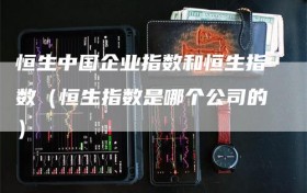 恒生中国企业指数和恒生指数（恒生指数是哪个公司的）