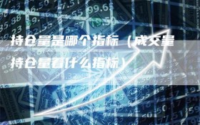 持仓量是哪个指标（成交量持仓量看什么指标）