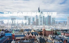 国际国内期货喊单(国际期货在线喊单)