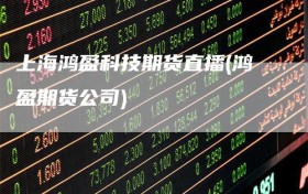 上海鸿盈科技期货直播(鸿盈期货公司)