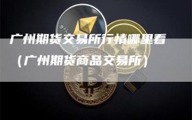 广州期货交易所行情哪里看（广州期货商品交易所）