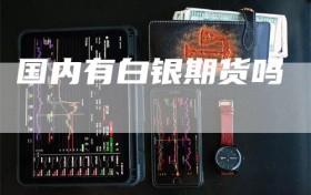 国内有白银期货吗