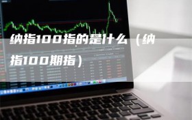 纳指100指的是什么（纳指100期指）