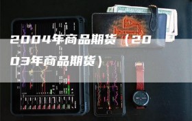 2004年商品期货（2003年商品期货）