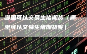 哪里可以交易生猪期货（哪里可以交易生猪期货呢）