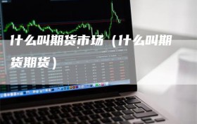 什么叫期货市场（什么叫期货期货）