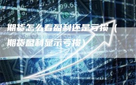 期货怎么看盈利还是亏损（期货盈利显示亏损）