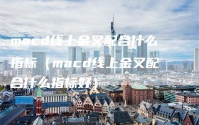 macd线上金叉配合什么指标（macd线上金叉配合什么指标好）