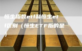 恒生指数etf和恒生etf区别（恒生ETF指的是）