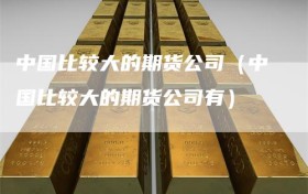 中国比较大的期货公司（中国比较大的期货公司有）