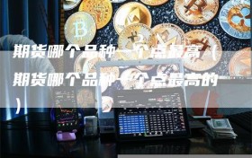 期货哪个品种一个点最高（期货哪个品种一个点最高的）