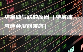 华宝油气跌的原因（华宝油气还会涨回来吗）
