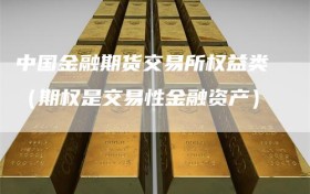 中国金融期货交易所权益类（期权是交易性金融资产）