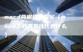 macd两根线的意义（macd上的两条线代表什么）