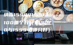 纳指159941与513100哪个好（513100与159941哪只好）