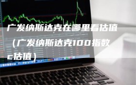 广发纳斯达克在哪里看估值（广发纳斯达克100指数c估值）
