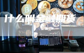 什么叫金融期货