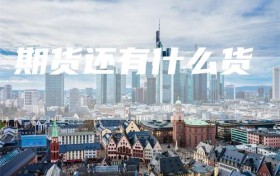 期货还有什么货