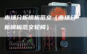 市场分析模板范文（市场分析模板范文轮椅）