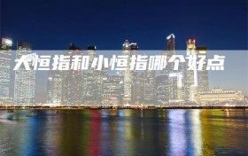 大恒指和小恒指哪个好点
