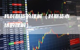 我对期货的理解（对期货市场的理解）