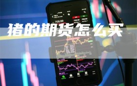 猪的期货怎么买