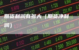 期货利润有多大（期货净利润）