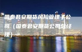 国泰君安期货风险管理子公司（国泰君安期货公司总经理）